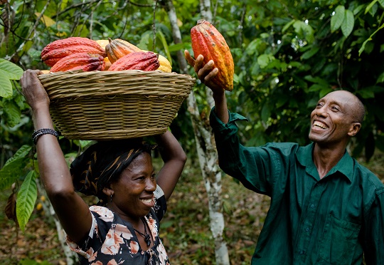 Over 10,000 Liberia cocoa farmers to benefit from a $47 million IFAD  project on food security and market access
