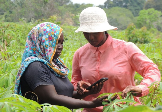 Kenya government partners with Microsoft to accelerate use of tech in  agriculture